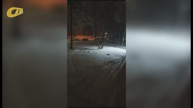 ЖИТЕЛИ УЛ. МИРА ПОЖАЛОВАЛИСЬ НА ЛАЙ СТАИ СОБАК ПОЗДНО ВЕЧЕРОМ