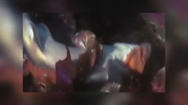 10 Шокирующих Битв Животных Снятых На Камеру