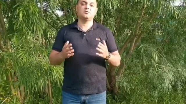 Народная программа
