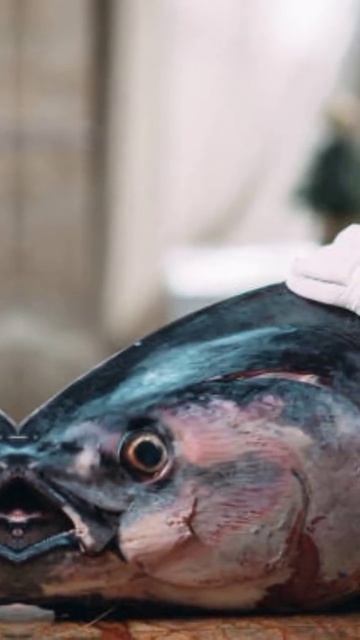 IKAN TUNA🥰 #capcut #horeca #osaka #bahanmasakan #sales #fyppage #fyp #ikantunabesar #tuna