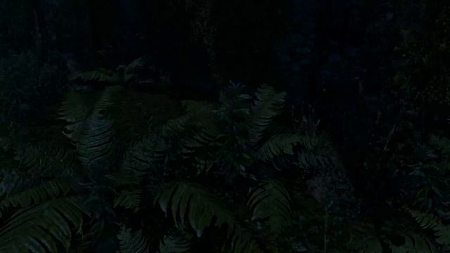 Blender Game Engine TECH/GRAPHICS DEMO-tropical rain forest (day/night)