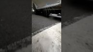 1000045401.mp4