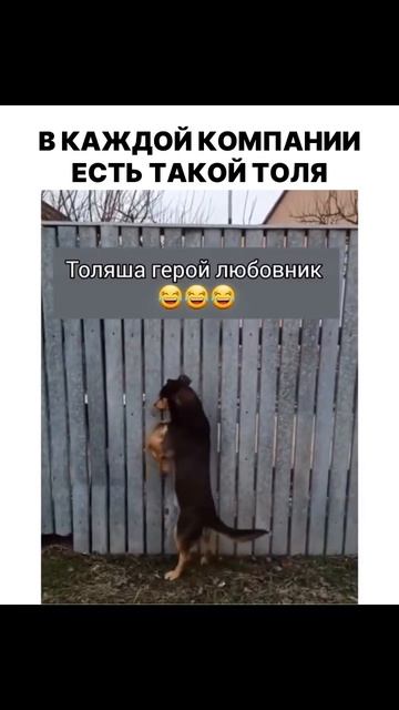 Толяша.