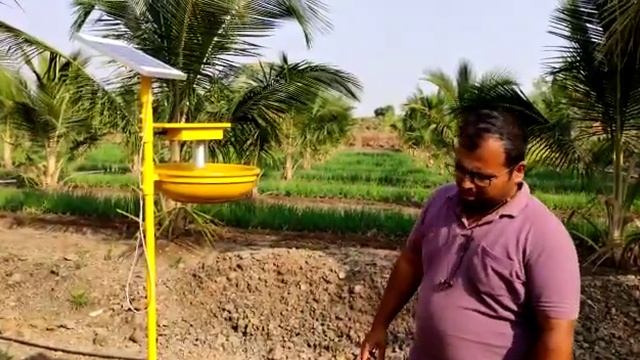 सोलर ट्रॅप | How to control Rhinoceros beetle in Coconut| Full Set Solar Trap