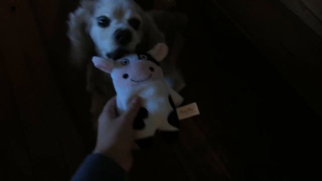 Vlogcember- CHRISTMAS DAY & Presents!!