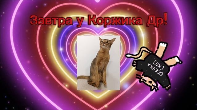 Завтра у Коржика др🌷✨