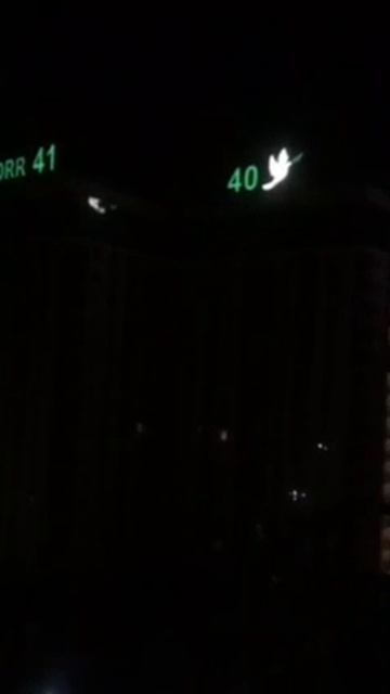 Это было 24 февраля 2022, три года назад