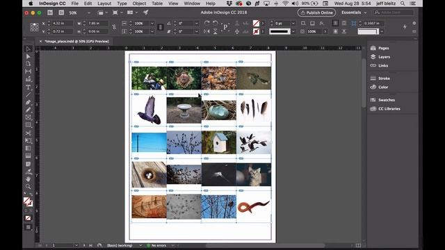 Indesign Image grid options