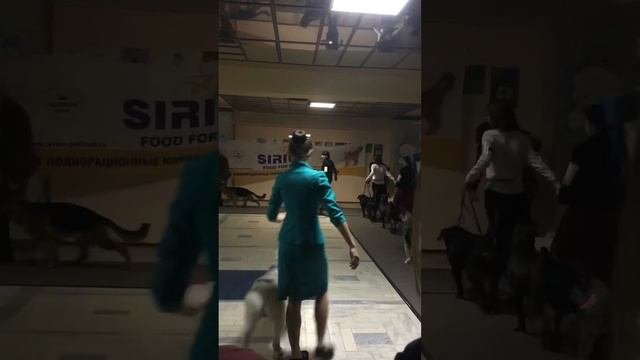 САС Курск 24.11.19 Best юниоров