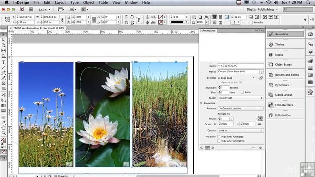 Indesign CS6   1608 An Animation Project