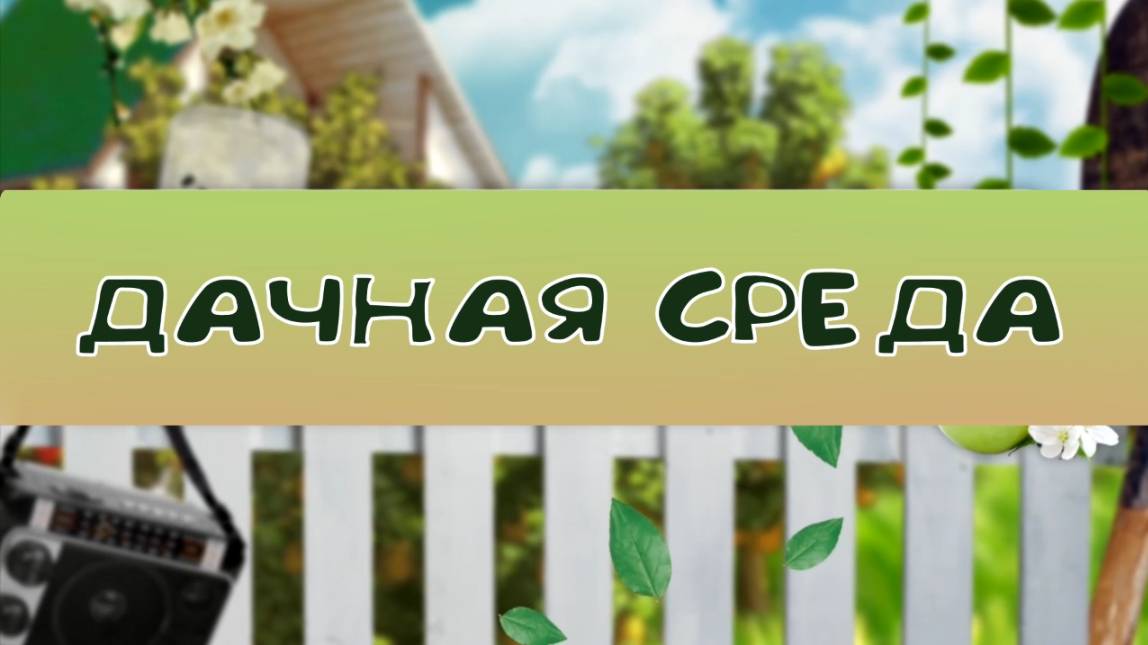 Дачная среда: что сажаем в феврале