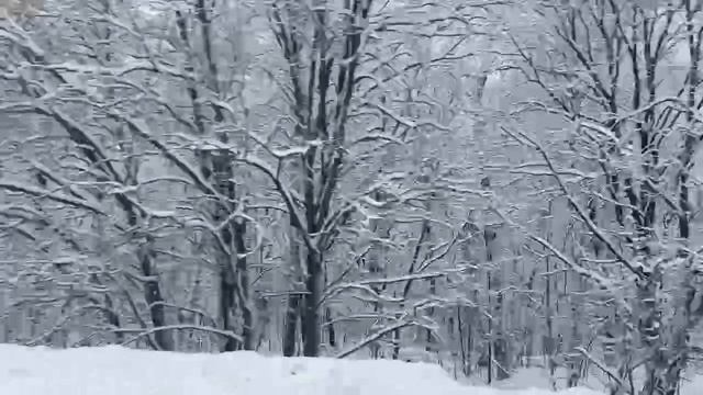 Вид из поезда, красиво!
