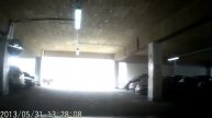 Прикольные животные 2015 9