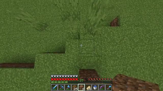 Minecraft official version in  play store no crack version