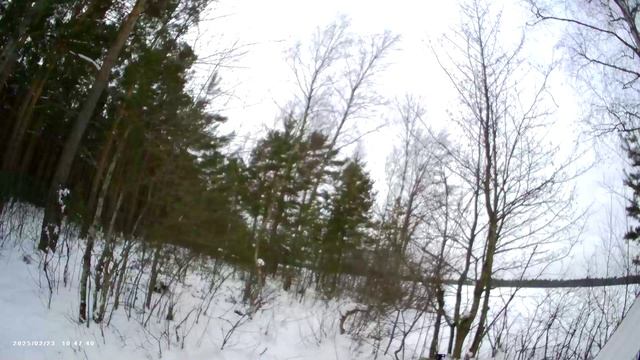 Круговорот окуней. Часть 5. Вот и Озерко