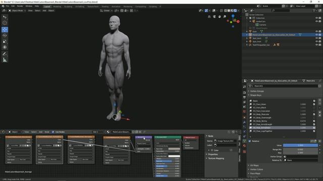 Male Custom Basemesh Lowpoly For Blender | User Guide
