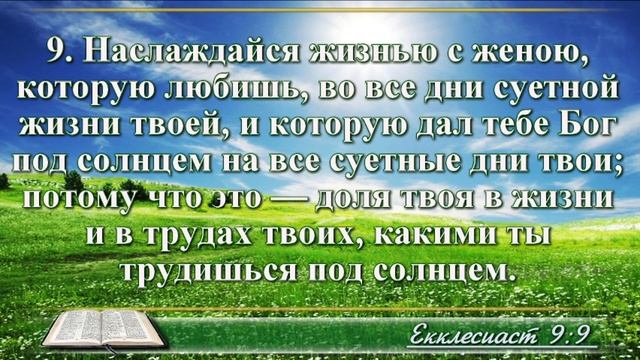 ВидеоБиблия Книга Екклесиаста без музыки глава 9 Соколов