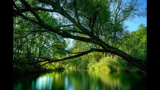 Видео привет