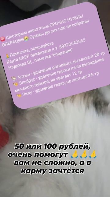 Помощь 🧩