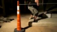 BBW Pre Fest 8-20-09 Pt 2