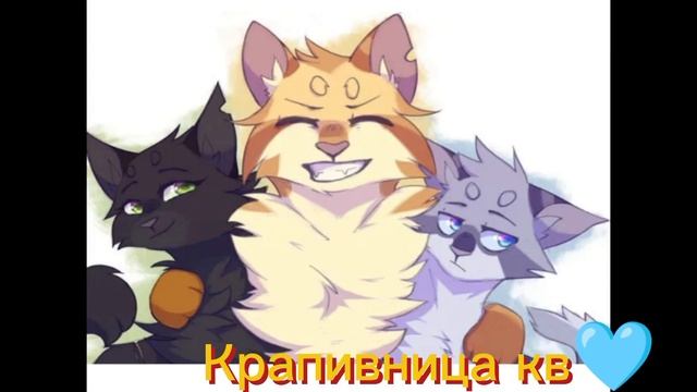 Коты воители Эдит