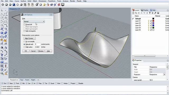 RHINO Curves and Surfaces