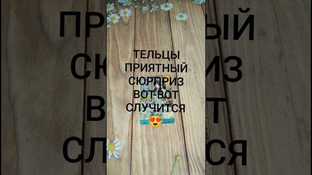 #ТЕЛЬЦЫ ПРИЯТНЫЙ СЮРПРИЗ ВОТ-ВОТ НА ПОРОГЕ💕💖🥰#ГаданиеНаБудущее #ТароГадание