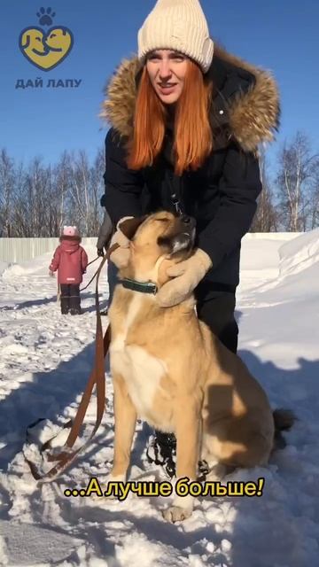 Приходите к нам на прогулки каждые выходные ❤️🐕