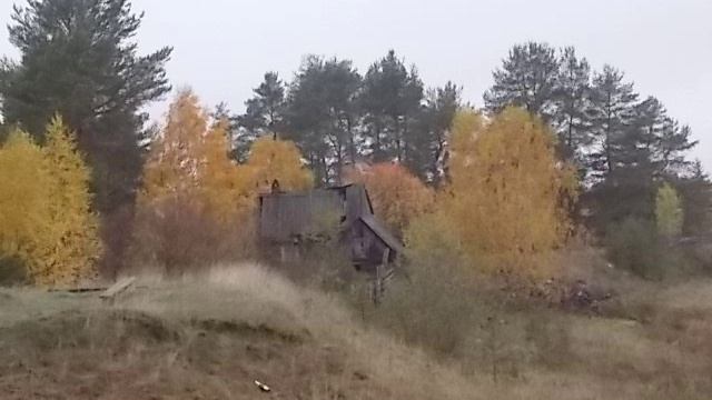 Песня - ОСЕННИЕ ДНИ МОИ