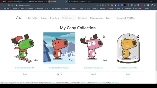 1000 SUI Airdrop ! Sui Network NFT Mint Etkinliği | CapyHoliday Nasıl Katılırım ?