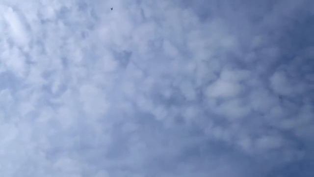 Полёт одесских