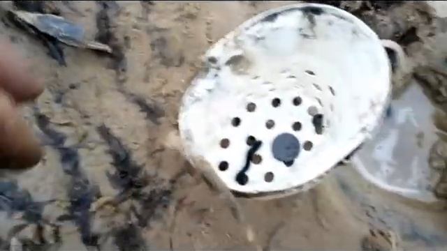 Коп на Волге в Ноябре .