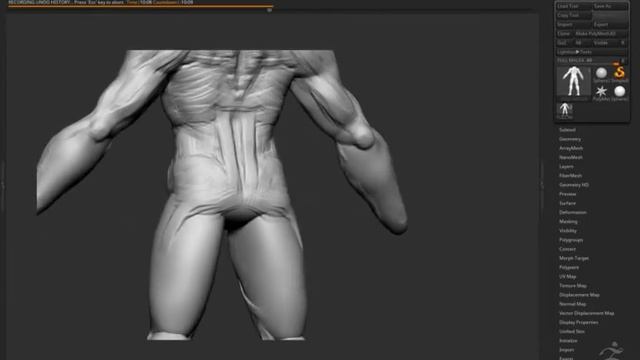 male Body sculpting zbrush