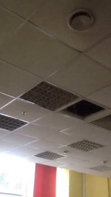 Гринвич потоп, август 20