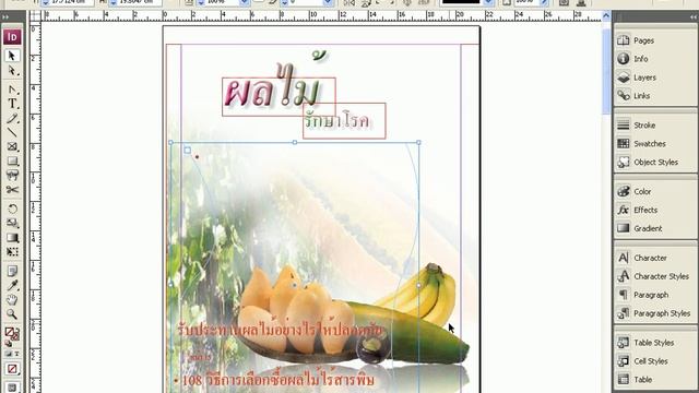 InDesign CS3 บทที่ 5/9 ตอนที่ 4