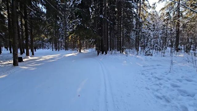 Катаемся по зимнему лесу/солярис/болячки/перемены в 27
