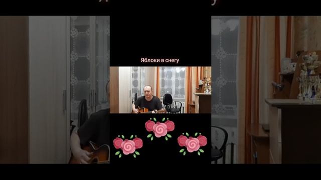 Яблоки в снегу 
Автор и исполнитель: Владимир Курочкин