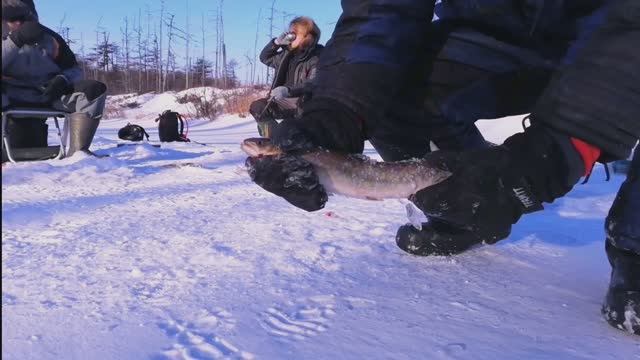 Голец и Кунджа. Ловим в верховьях реки Вал и Эвай Ногликский район.