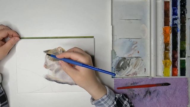 Открытый урок "Котик"