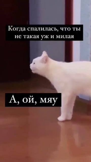 Не такая.