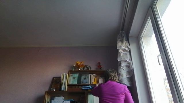 влог
