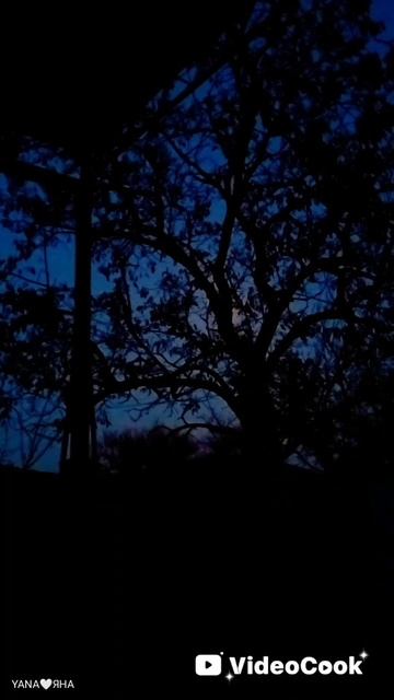 🌛✨На ночь...