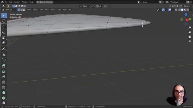 Optimiser le dépliage UV - projet baleine - tutoriel Blender en Français - complet Gratuit