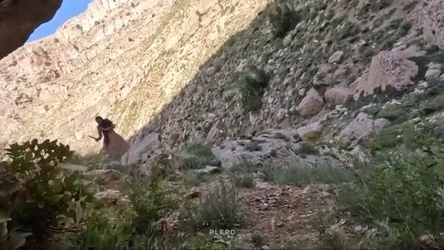 15.07.2023 Бесстрашная Мать Защищает Малышей ночью в пещере в Эпическом путешествие