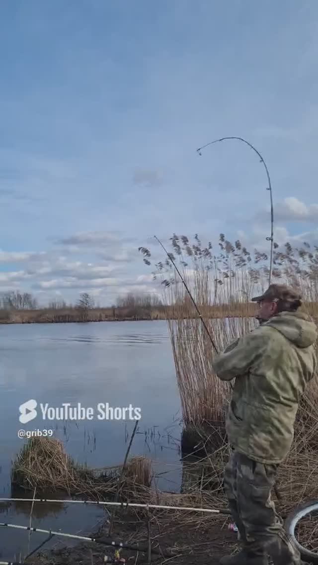 Весенняя рыбалка ! ЛЕЩ на полудонку #shorts #рыбалка #рыбак