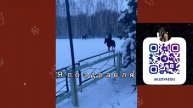 Поздравления от коноблогеров/ конный дневник