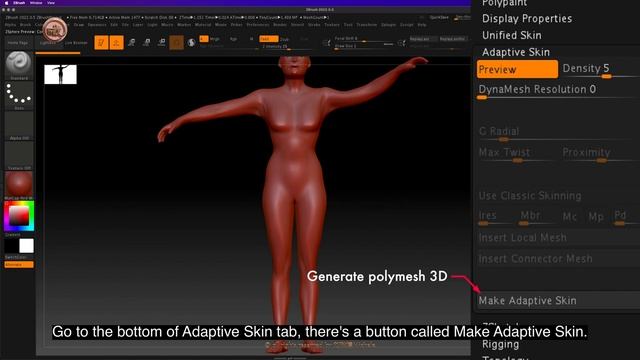 ZB_18.27 | Generate new tool or polymesh with subdiv intact from posed model using Adaptive skin