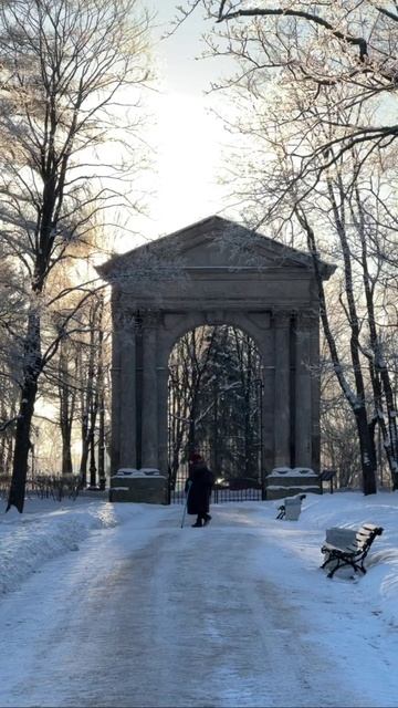 Атмосферное утро в Дворцом парке в Гатчина