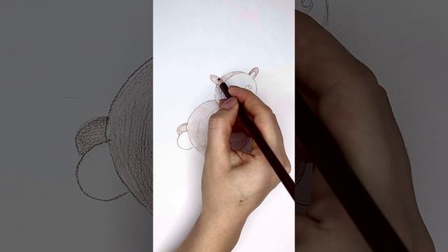 Рисуем капибару !