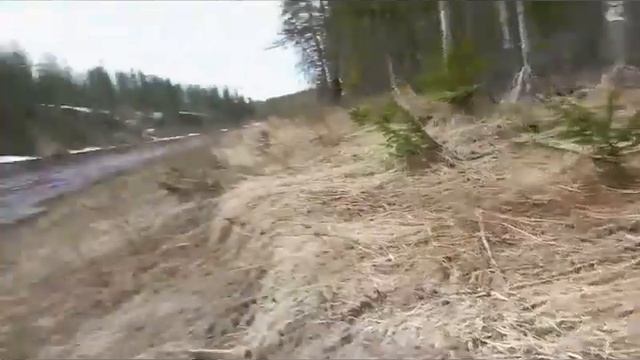 Лехин первый гусь и просто классная поездка